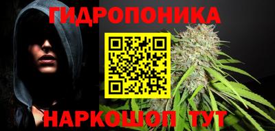 мет Новозыбков