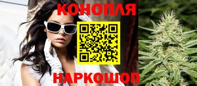 дмт Новокубанск