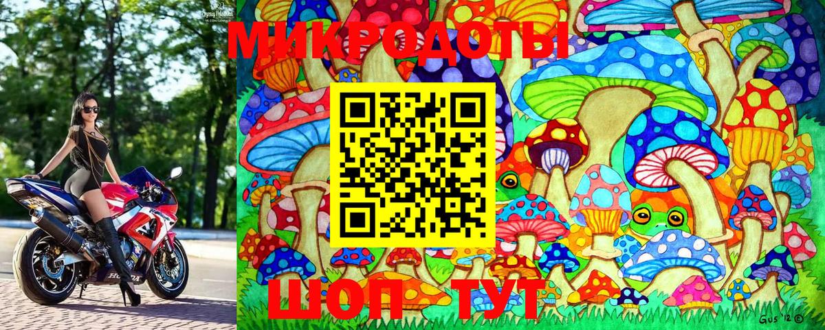 Сибай  Псилоцибиновые грибы MAGIC MUSHROOMS  Вход с VPN 